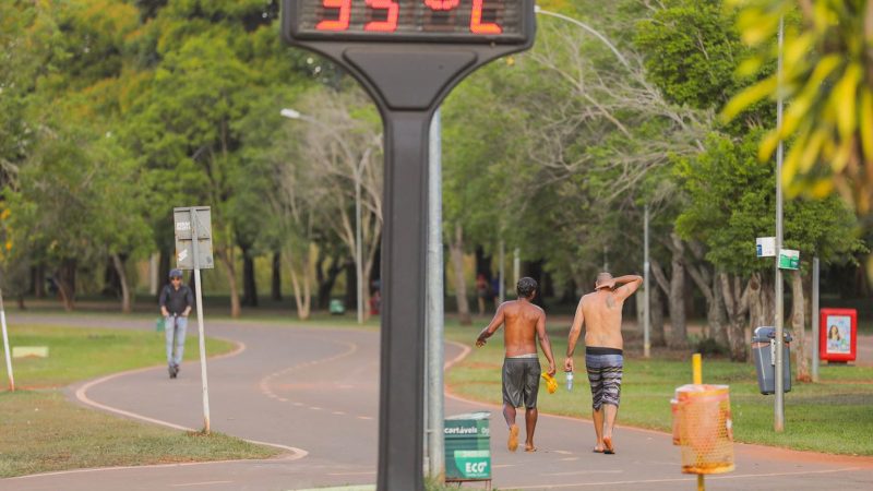 Terceira Onda de Calor do Ano Exige Cuidados Redobrados