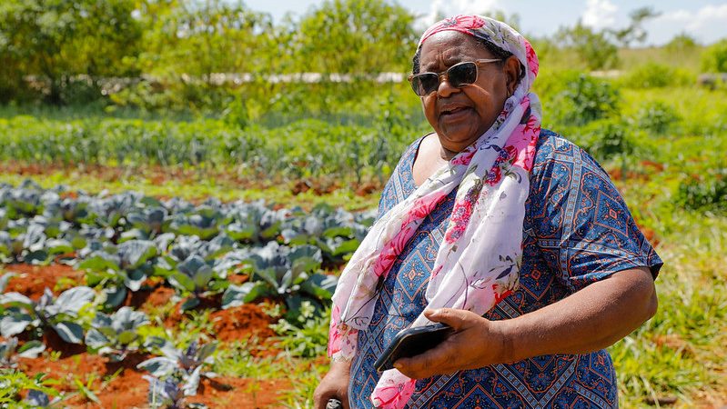 Mulheres cultivam o futuro da agricultura familiar no DF