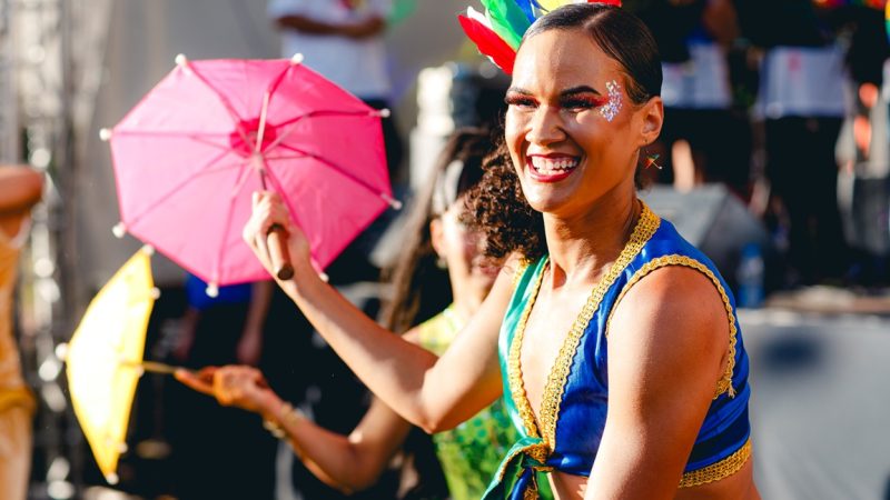 DF Folia 2025 celebra tradições e culturas populares no carnaval