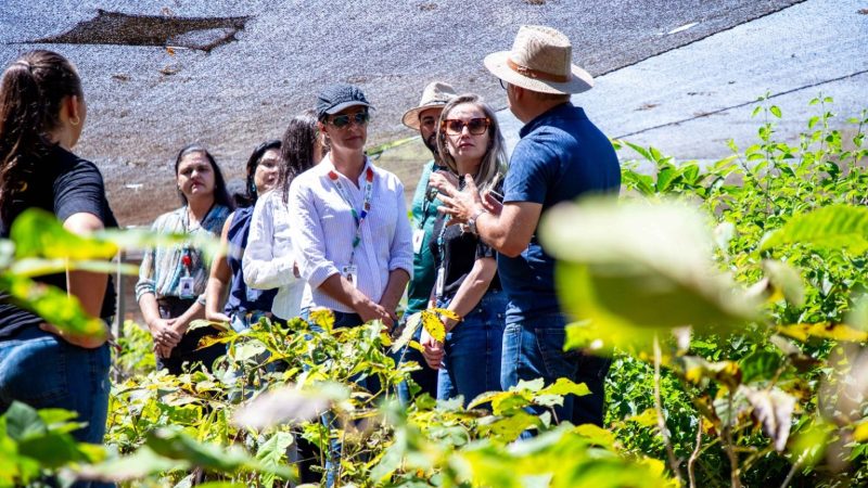 Cultivo na Papuda impulsiona produção de fitoterápicos e ressocialização