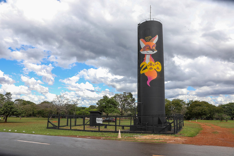 Novo mural no Zoológico de Brasília celebra Lobo-Guará Atena