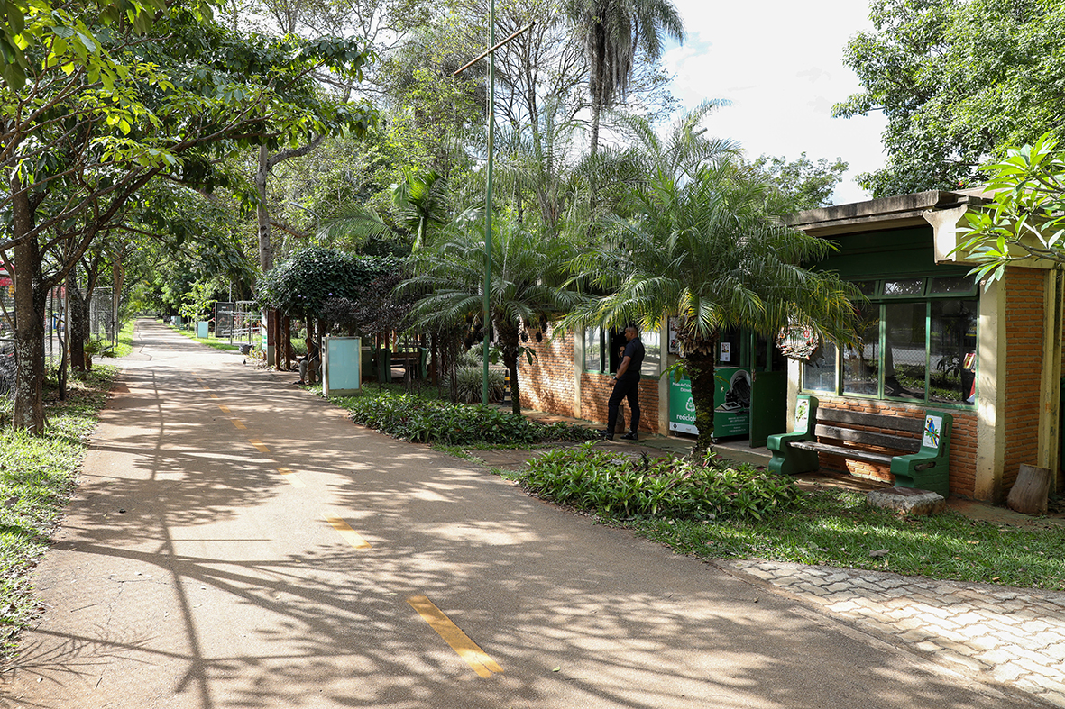Conheça a biblioteca comunitária do parque Olhos D’Água