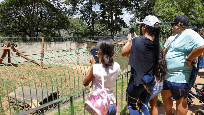 Zoológico e Jardim Botânico triplicam visitantes em Brasília