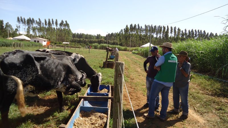 Emater-DF celebra 47 anos de dedicação ao desenvolvimento rural