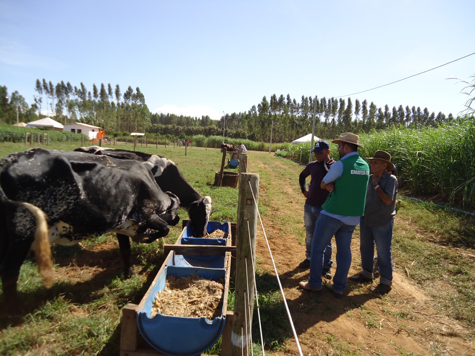 Emater-DF celebra 47 anos de dedicação ao desenvolvimento rural