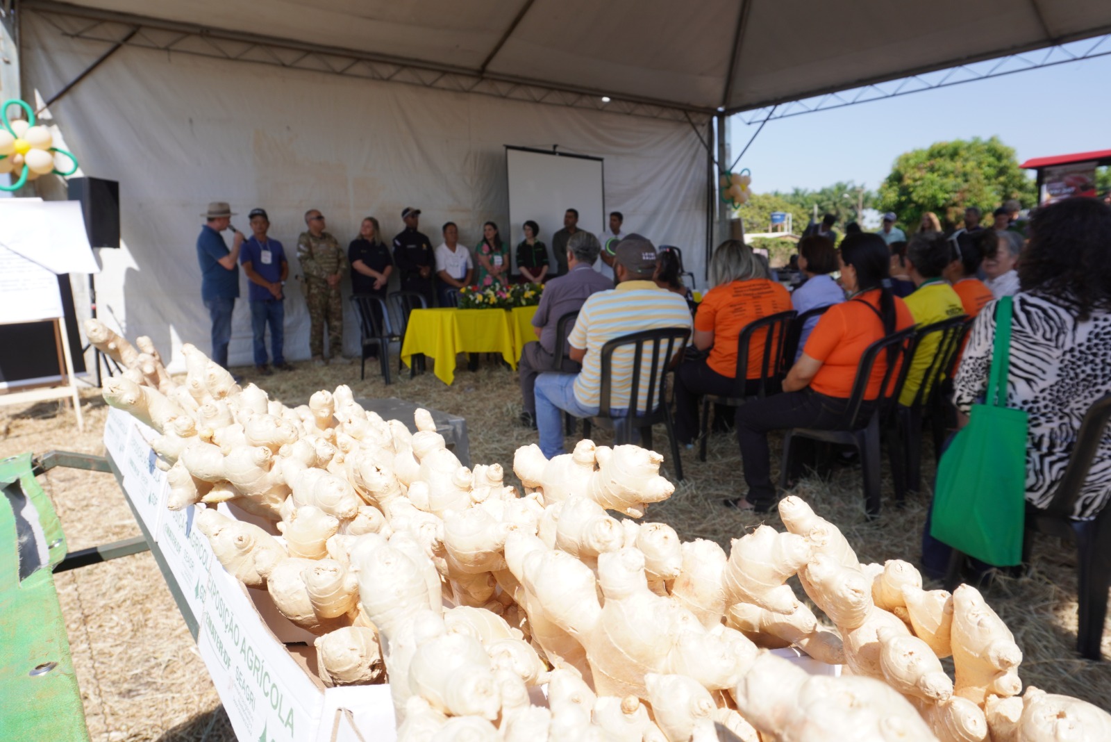 II Dia Especial do Gengibre agita Vargem Bonita com gastronomia e aprendizado