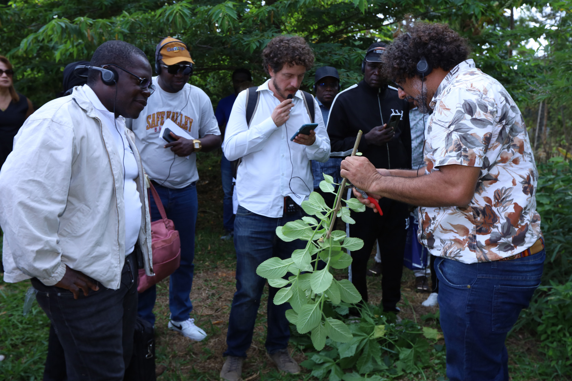 Horto medicinal em UBS recebe delegação internacional do Benim
