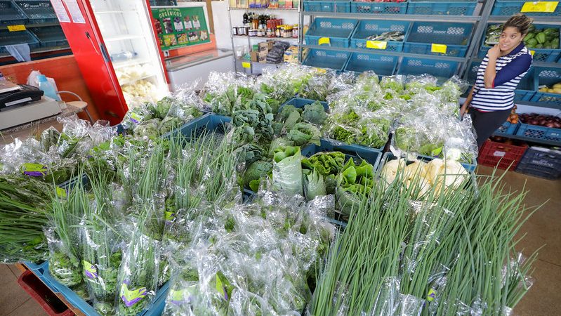 DF aposta em novos empórios para impulsionar produtos rurais e pequenos produtores