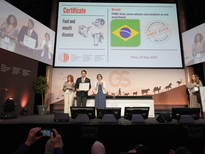 Brasil conquista reconhecimento internacional de zona livre de Febre Aftosa