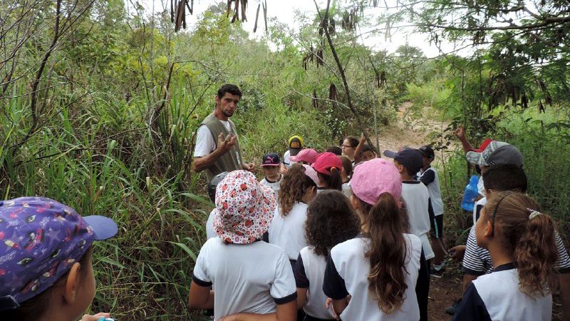 Cerrado Vivo desembarca em Samambaia celebrando cultura, tradição e meio ambiente