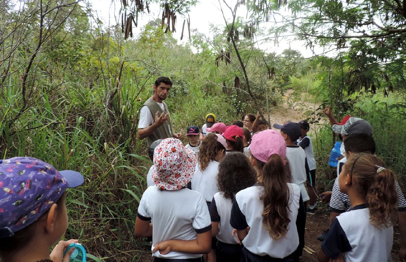 Cerrado Vivo desembarca em Samambaia celebrando cultura, tradição e meio ambiente