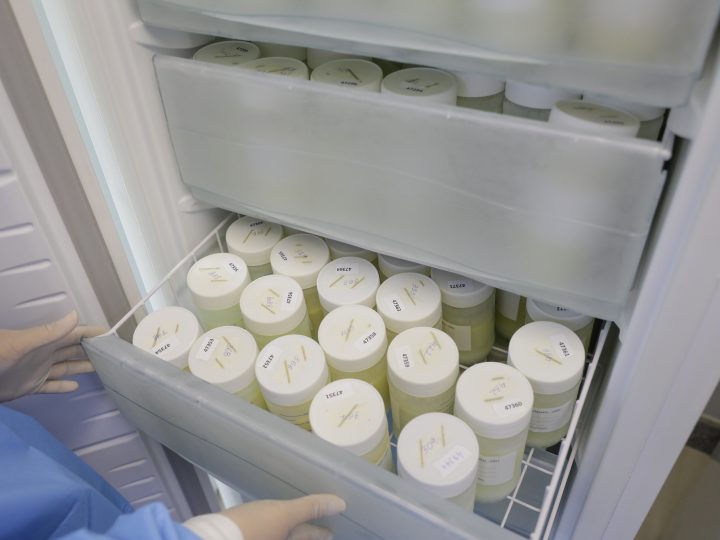 Dia das Mães: Doe amor e fortaleça vidas no DF