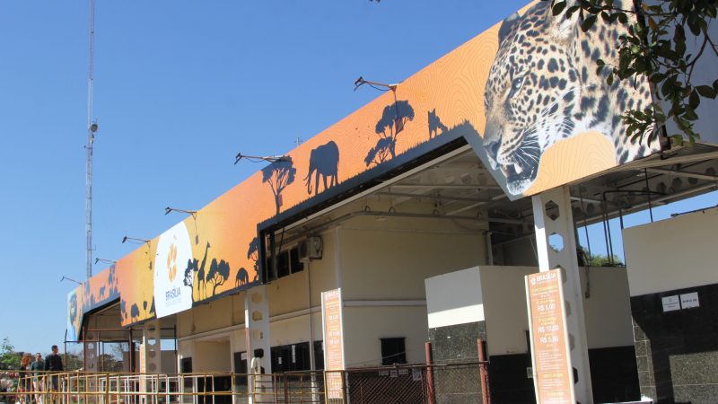 Zoológico de Brasília abre oportunidade para ambulantes nos fins de semana e feriados