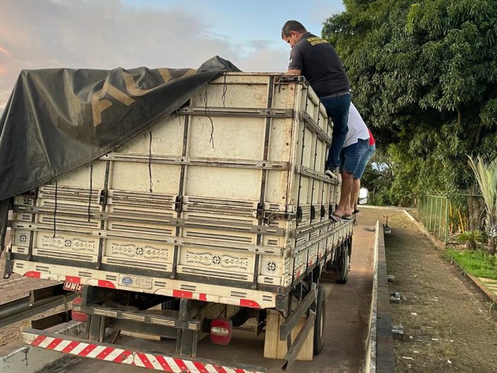 Seec-DF apreende mais de R$ 542 mil em mercadorias irregulares