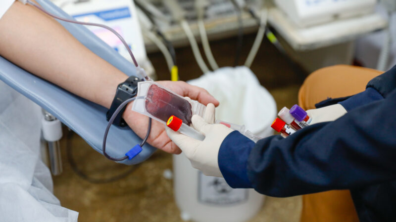 Hemocentro lança campanha “Conexão Vital” para fortalecer doação de sangue