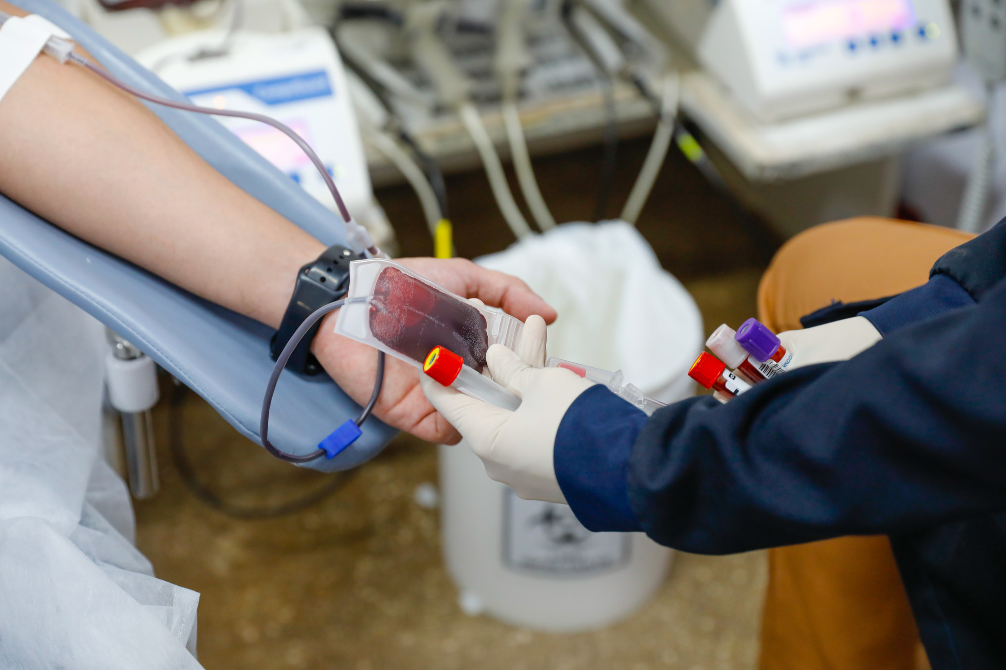 Hemocentro lança campanha “Conexão Vital” para fortalecer doação de sangue