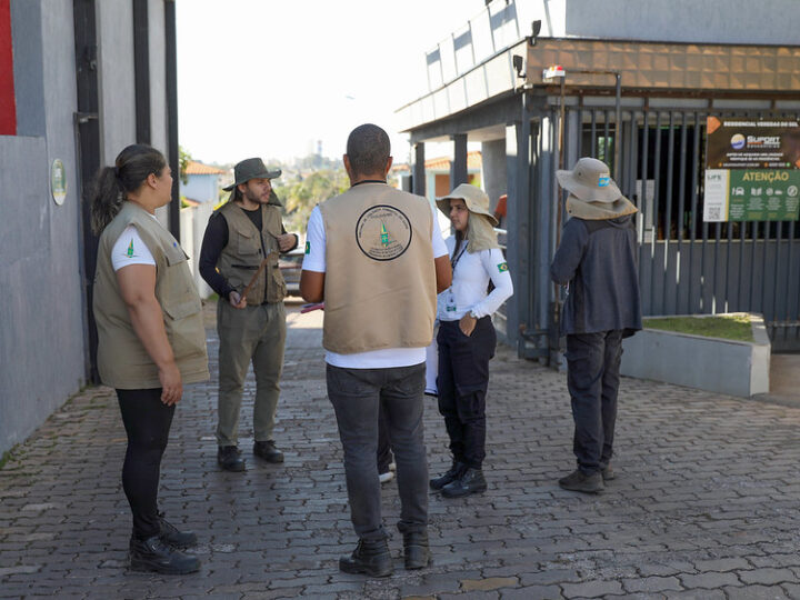 GDF reduz casos de dengue em Brasília em mais de 95%