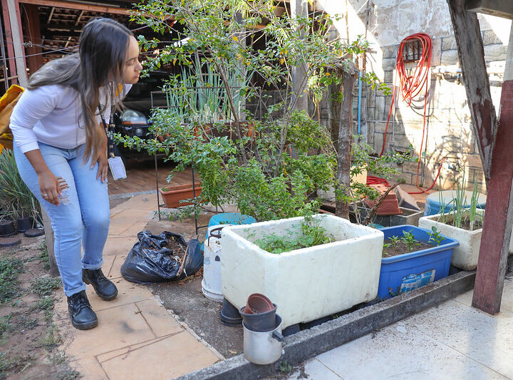 Dengue sob controle: Combate intenso na estiagem garante queda de casos