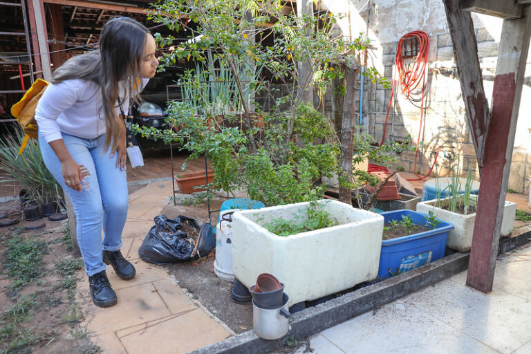 Mesmo na estiagem, as ações de combate ao mosquito da dengue é mantida nas regiões administrativas do DF | Fotos: Lúcio Bernardo Jr./Agência Brasília