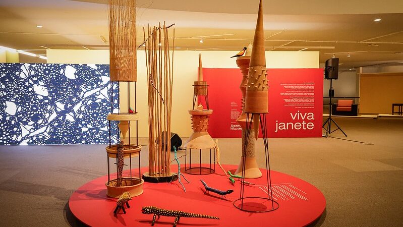 Celebre a criatividade e o design no coração do Brasil