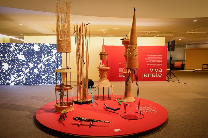 Celebre a criatividade e o design no coração do Brasil