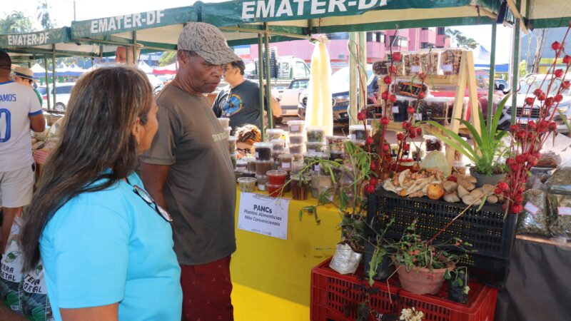 Sobradinho recebe a semana do produtor rural com programação gratuita