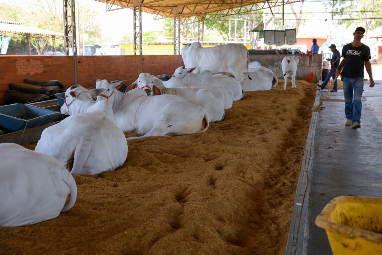 A 33ª edição da Expoabra vai de 29 de agosto a 7 de setembro, no Parque de Exposições da Granja do Torto | Foto: Paulo H. Carvalho/Agência Brasília