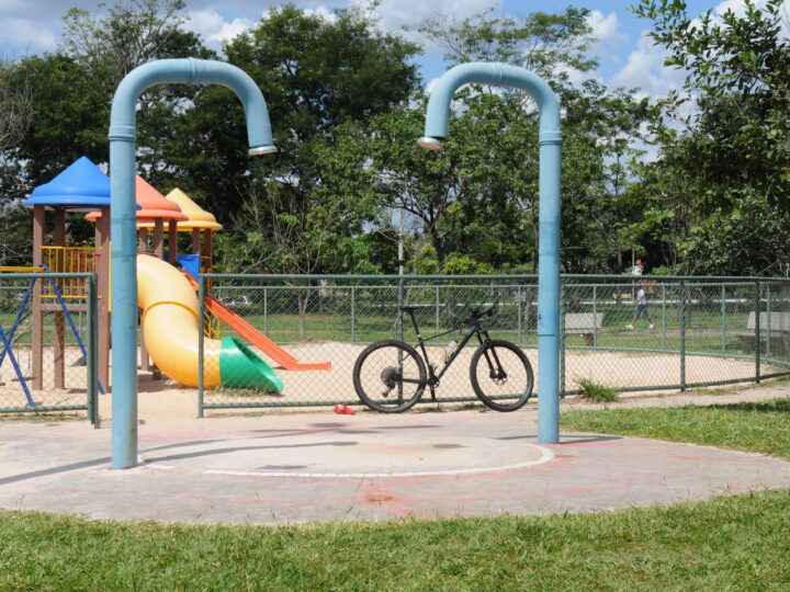 Parques do DF terão fechamento temporário para dedetização