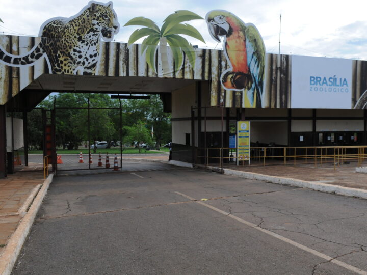 Zoológico de Brasília confirma caso de Gripe Aviária e permanece fechado