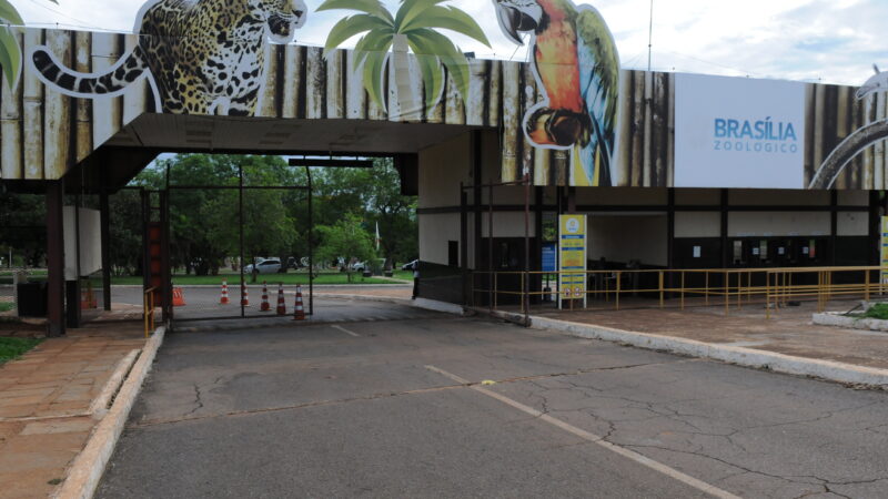 Zoológico de Brasília confirma caso de Gripe Aviária e permanece fechado
