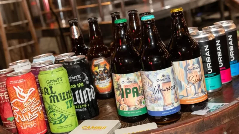 Brasília celebra cerveja artesanal e música no Parque da Cidade!