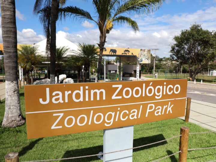 Zoológico de Brasília permanece fechado após nova suspeita de gripe aviária