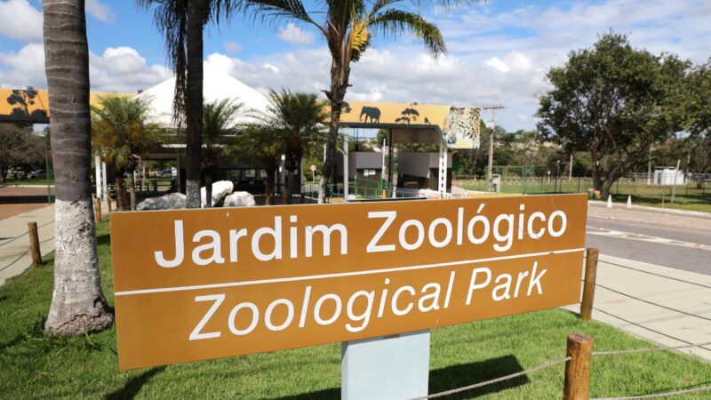 Zoológico de Brasília permanece fechado após nova suspeita de gripe aviária