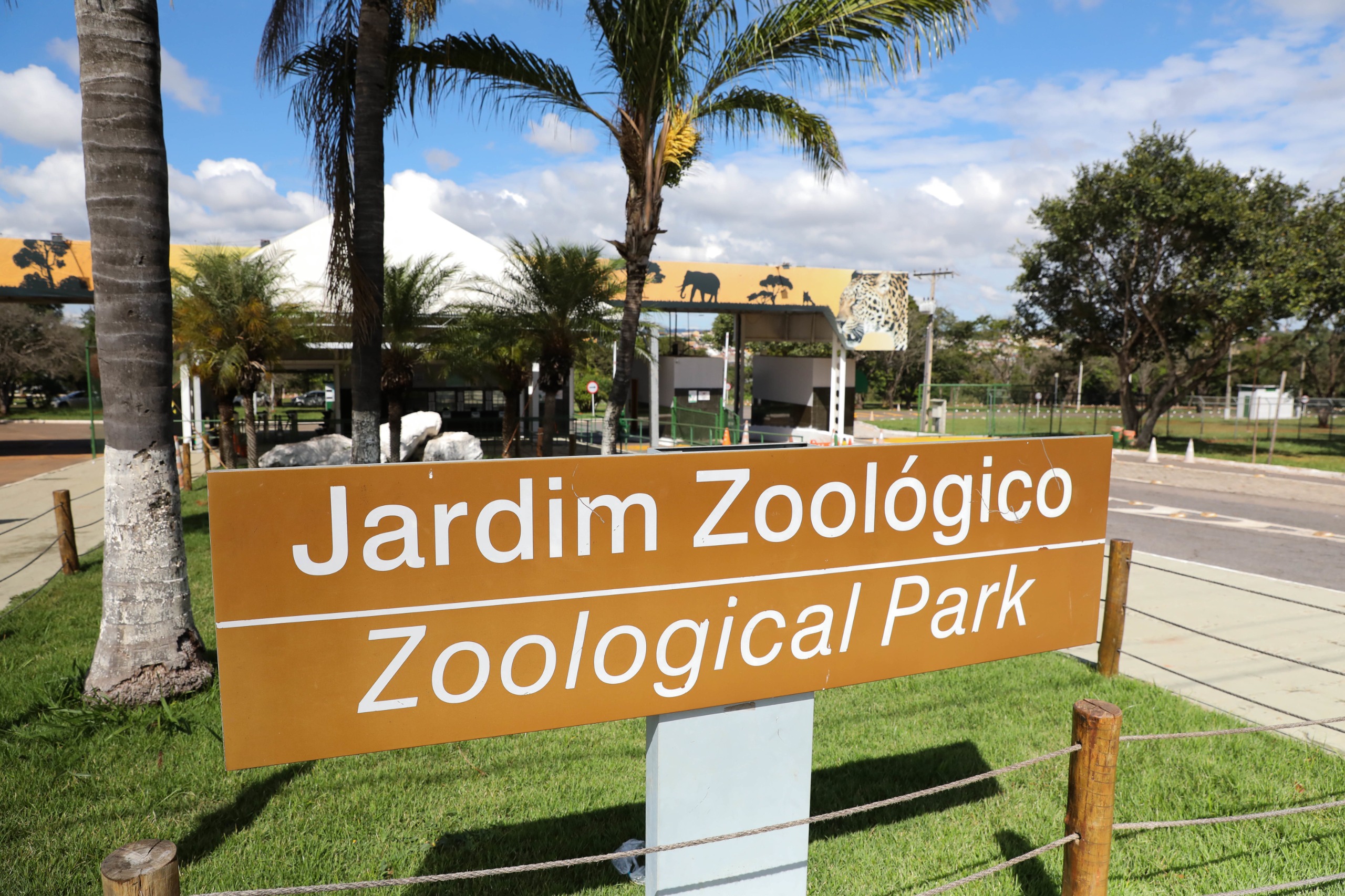 Zoológico de Brasília permanece fechado após nova suspeita de gripe aviária