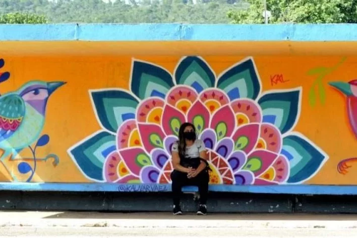 Bienal de Arte Urbana transforma paradas de ônibus de Sobradinho em galerias a céu aberto
