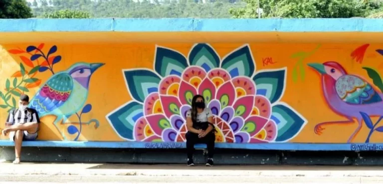 Bienal de Arte Urbana transforma paradas de ônibus de Sobradinho em galerias a céu aberto