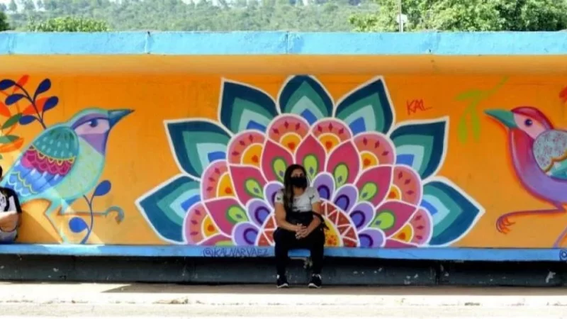 Bienal de Arte Urbana transforma paradas de ônibus de Sobradinho em galerias a céu aberto