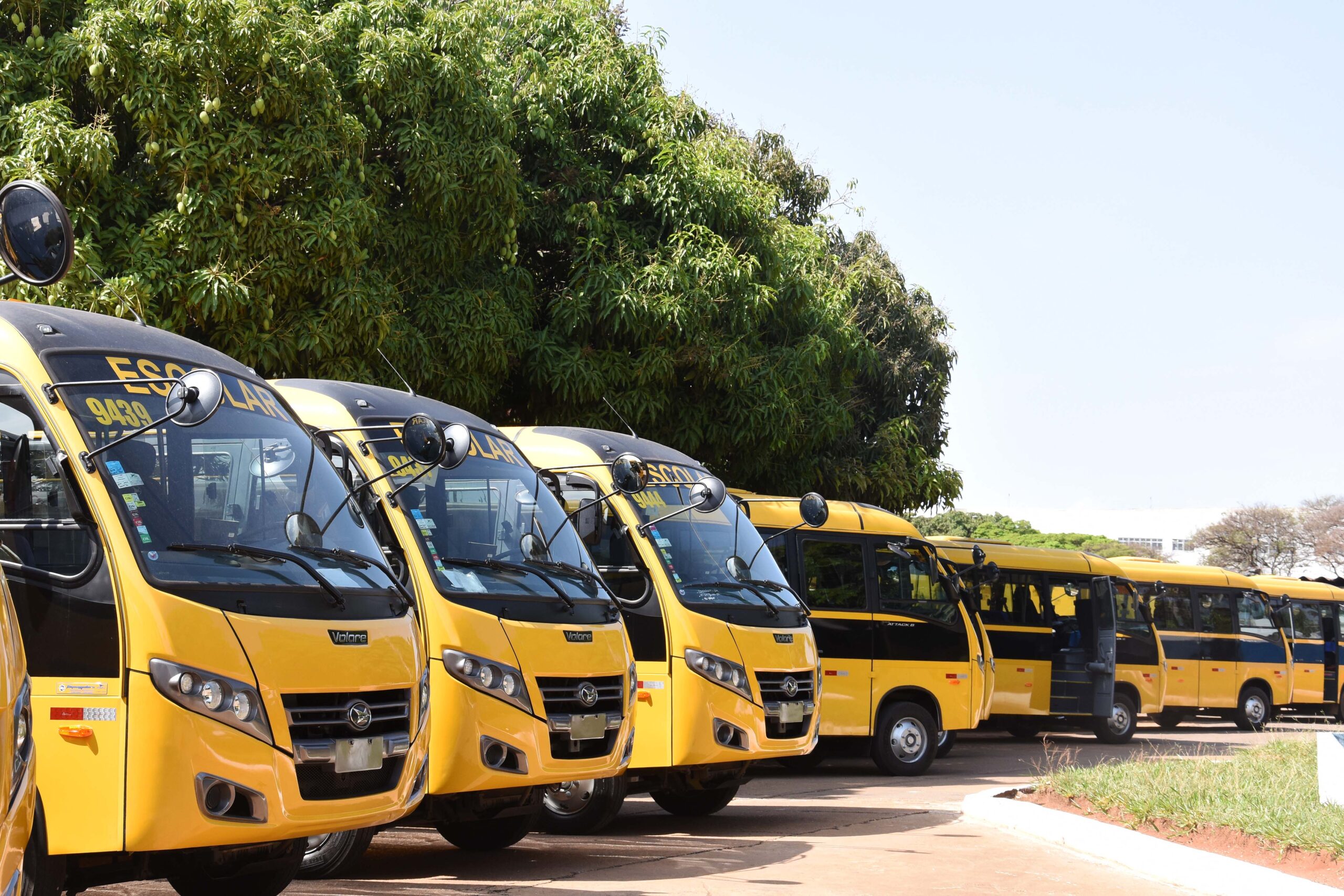 Mais de 1.160 ônibus levam 70 mil alunos à escola