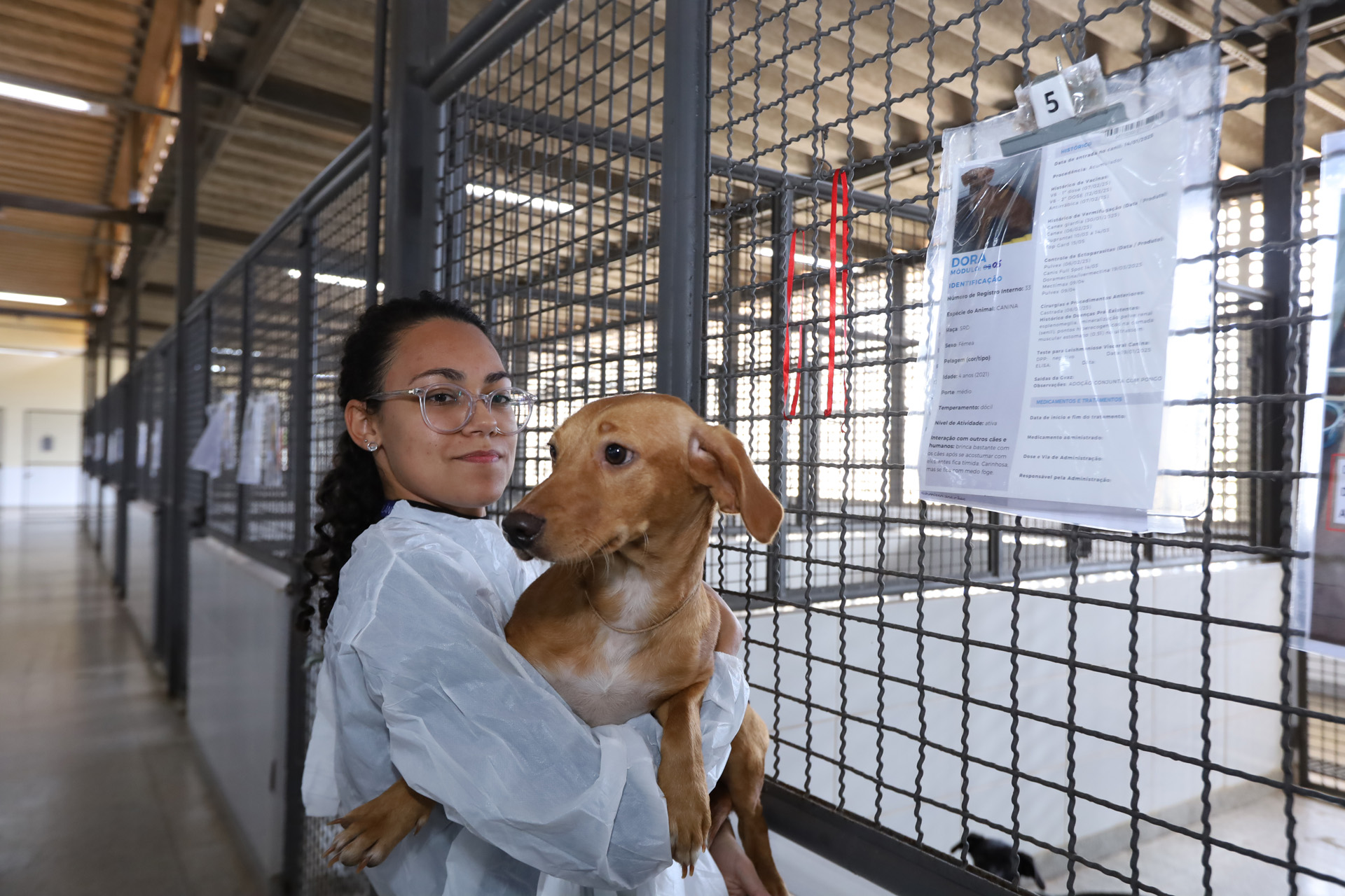 Vacinação de pets e prevenção de zoonoses ganham destaque