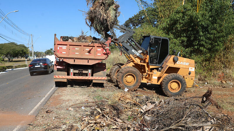 Park Way recebe mutirão de limpeza e manutenção