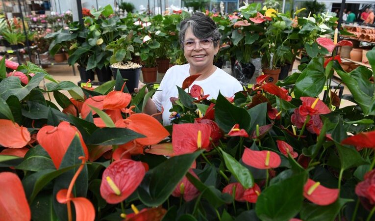 Mais de 50 idosos florescem em oficina de jardinagem no DF!