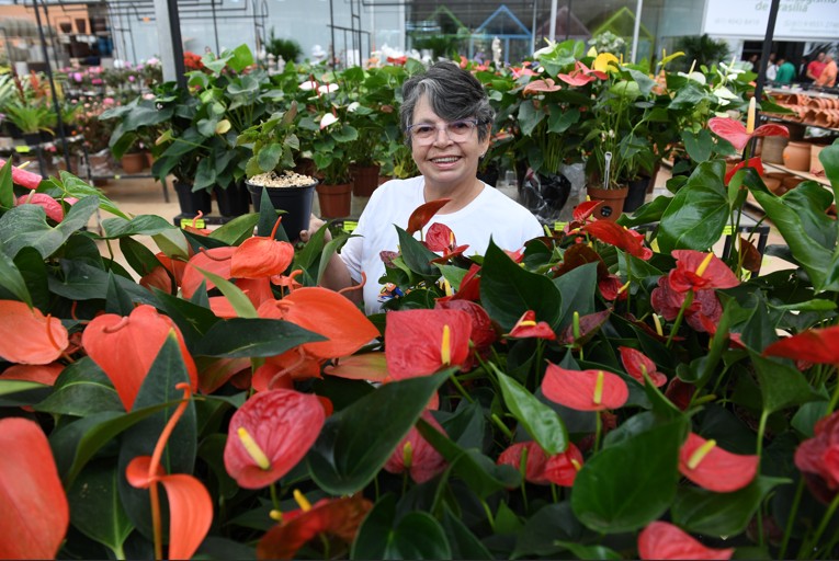 Mais de 50 idosos florescem em oficina de jardinagem no DF!