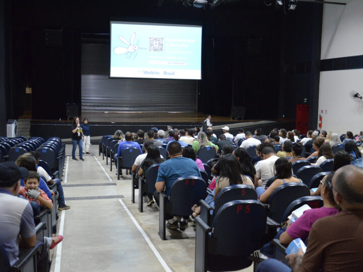 Nova estratégia com mosquitos do bem vai combater a dengue