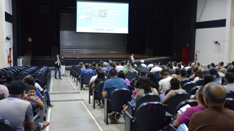 Nova estratégia com mosquitos do bem vai combater a dengue