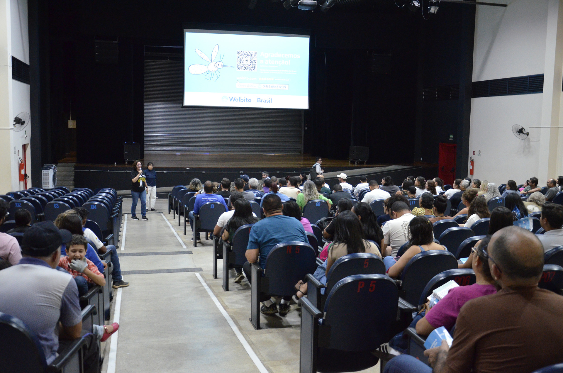 Nova estratégia com mosquitos do bem vai combater a dengue