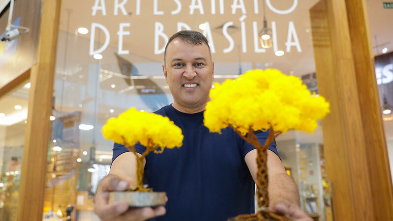 Os Ipês de Brasília inspiram arte e negócios na capital