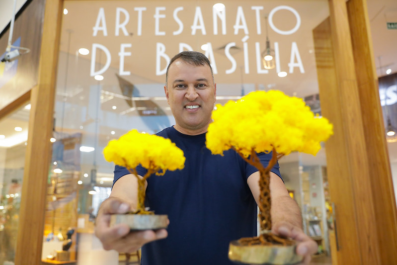 Os Ipês de Brasília inspiram arte e negócios na capital