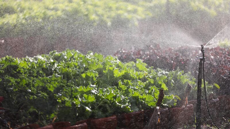 780 imóveis rurais regularizados garantem segurança a produtores