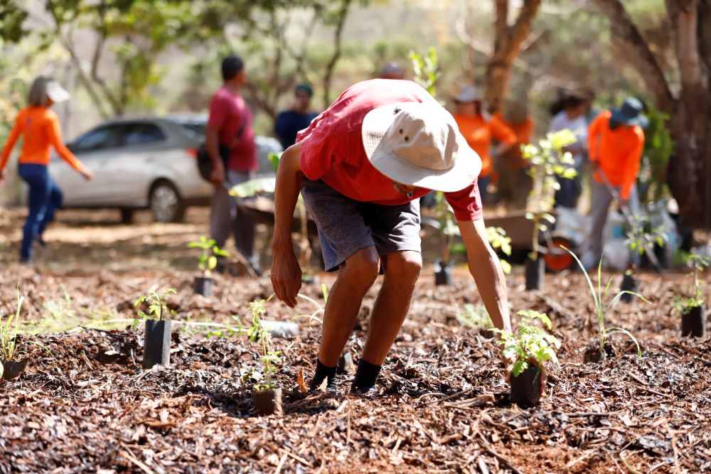 Horto Agroflorestal é Inaugurado no Caps II no Riacho Fundo