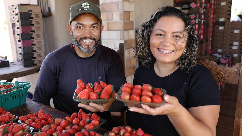 Crédito Rural transforma agricultura familiar em Planaltina